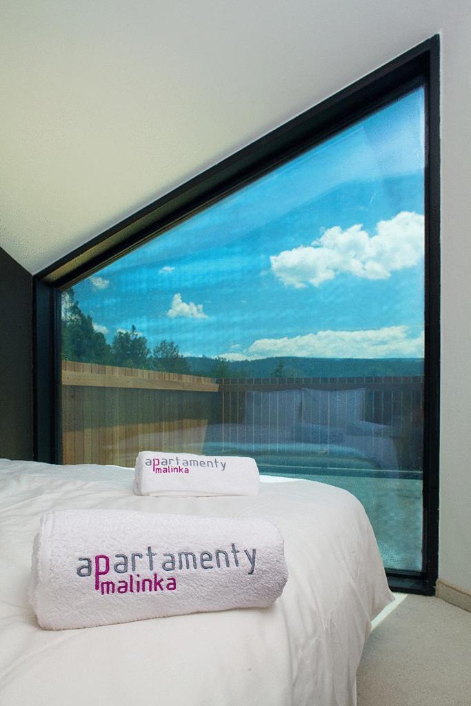 Apartamenty Malinka Wisla Ngoại thất bức ảnh